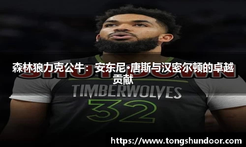 森林狼力克公牛：安东尼·唐斯与汉密尔顿的卓越贡献