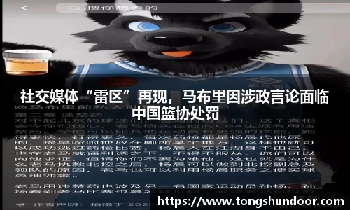 社交媒体“雷区”再现，马布里因涉政言论面临中国篮协处罚