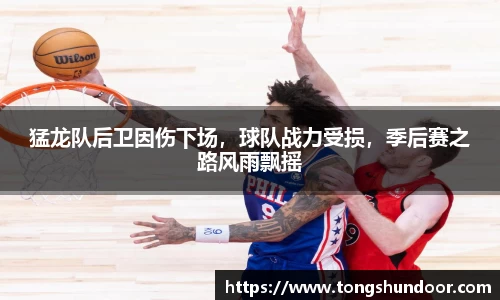 猛龙队后卫因伤下场，球队战力受损，季后赛之路风雨飘摇