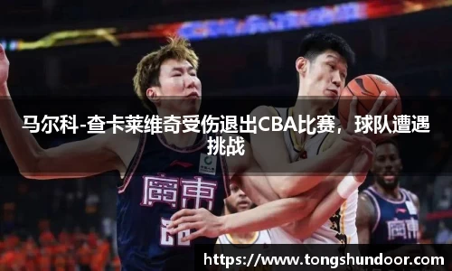 马尔科-查卡莱维奇受伤退出CBA比赛，球队遭遇挑战
