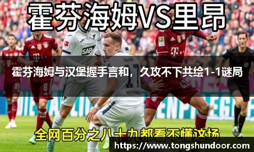 霍芬海姆与汉堡握手言和，久攻不下共绘1-1谜局